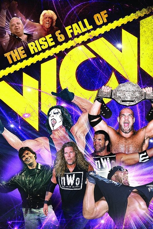 Movie poster for The Rise & Fall of WCW (2009)