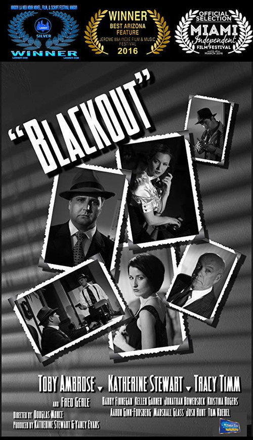 Movie poster for Blackout