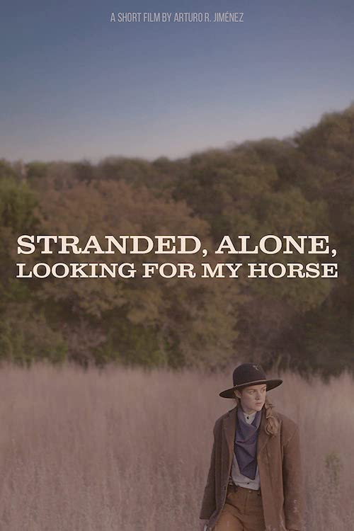 Movie poster for Stranded, Alone, Looking for my Horse