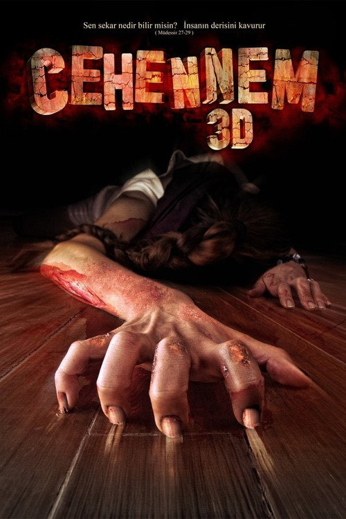 Movie poster for Cehennem 3D (2010)