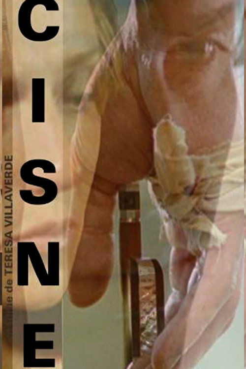 Movie poster for Cisne (2011)
