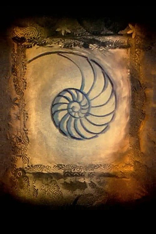 Movie poster for Imprints (2004)