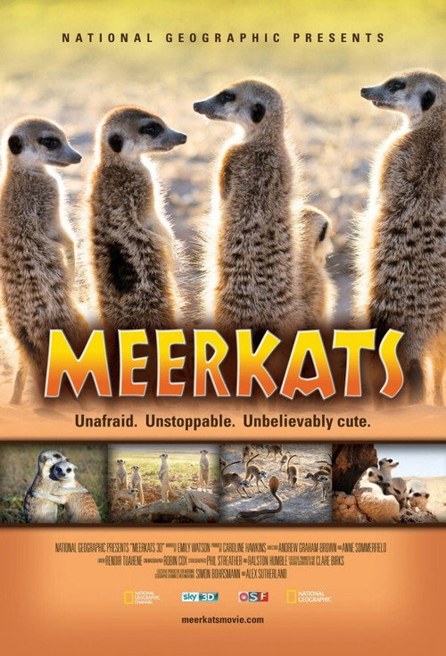 Movie poster for Meerkats 3D (2011)