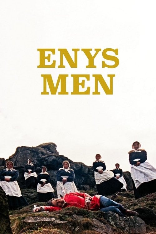 Movie poster for Enys Men (2023)
