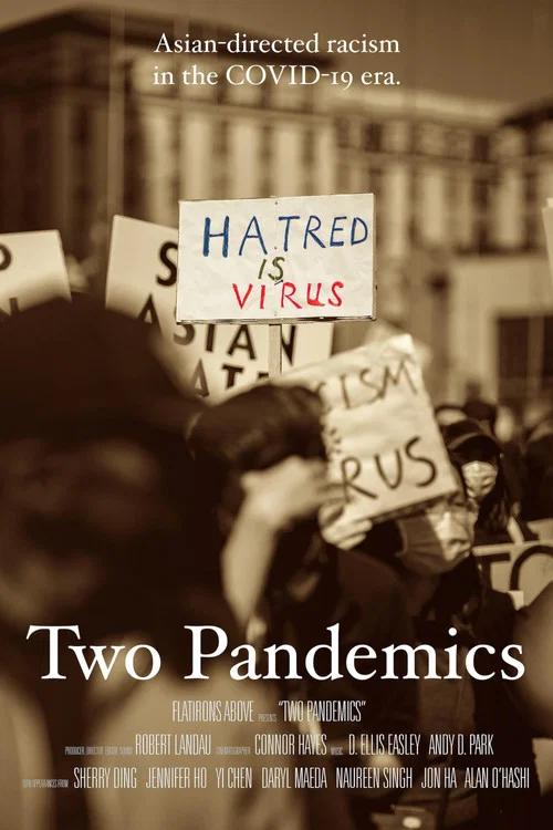 Movie poster for Two Pandemics (2021)
