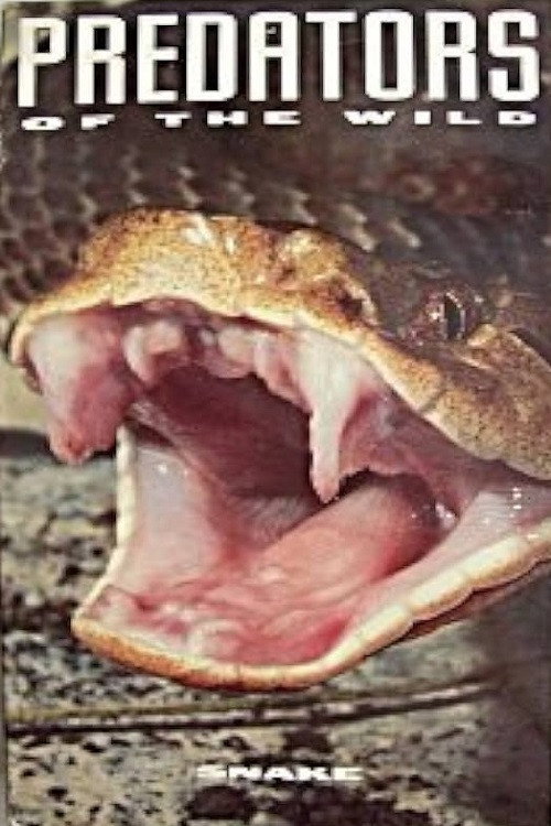 Movie poster for Predators of the Wild: Snake (1993)