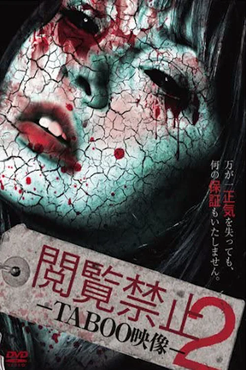Movie poster for Viewing Prohibited 2 TABOO Video (2013)