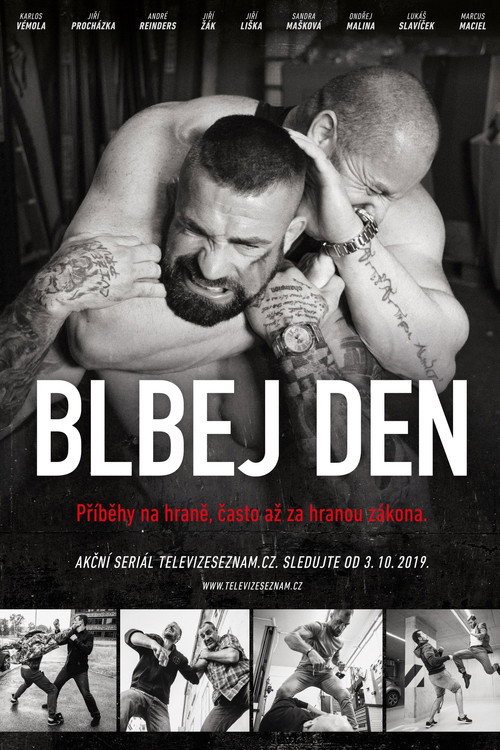 Blbej den poster
