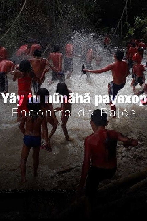 Movie poster for Yãy tu nũnãhã payexop: Encontro de Pajés (2021)