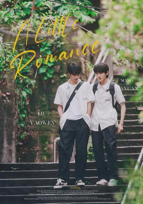 Movie poster for Let's Wait for the Rain to Stop (2022)