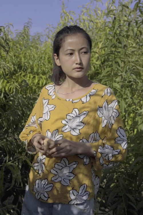 Movie poster for The Fruit Garden (2020)