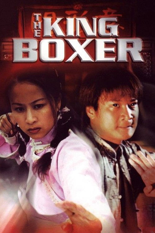 Movie poster for The King Boxer (2000)