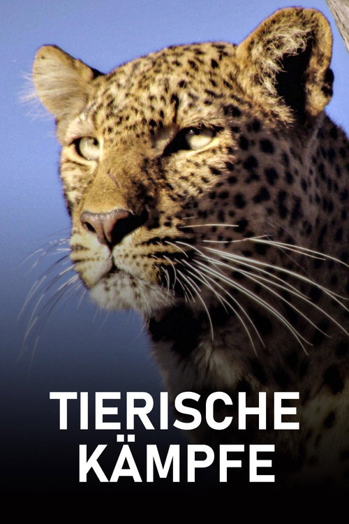 Series poster for Tierische Kämpfe (2024)