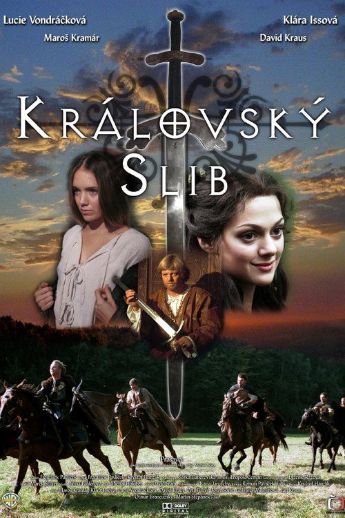 Movie poster for Královský slib (2001)