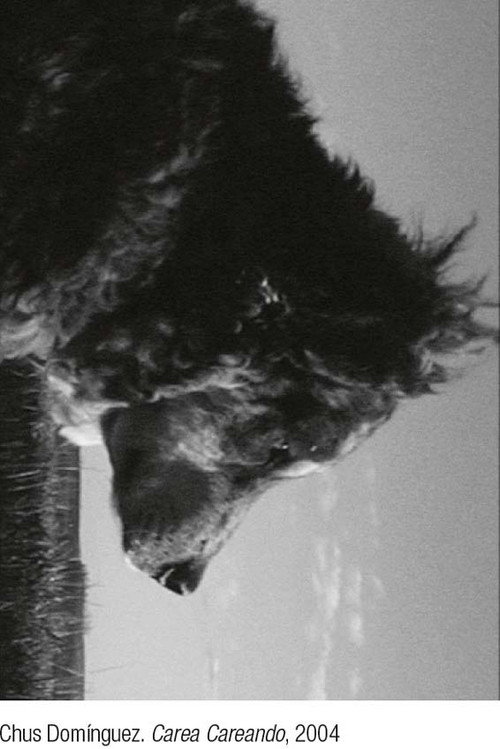 Movie poster for Carea careando. De pastores, perros y rebaños (2004)