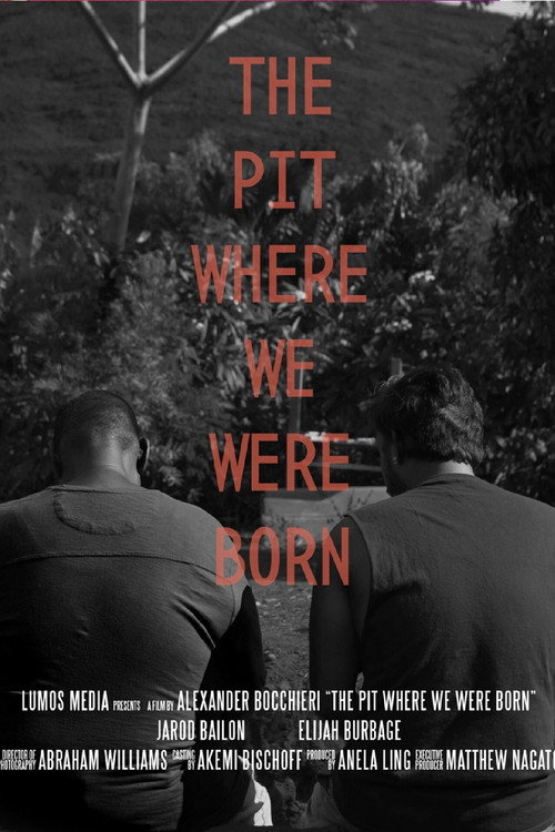 Movie poster for The Pit Where We Were Born (2020)