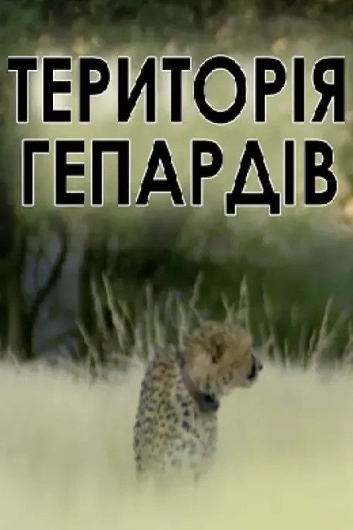 Movie poster for Man, Cheetah, Wild (2013)
