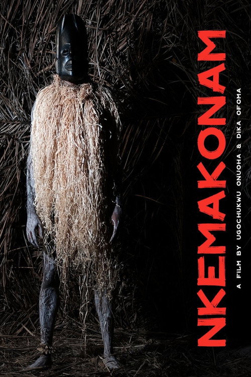 Movie poster for Nkemakonam (2023)
