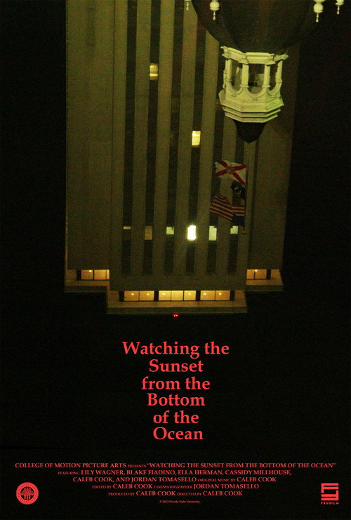 Movie poster for Watching the Sunset from the Bottom of the Ocean