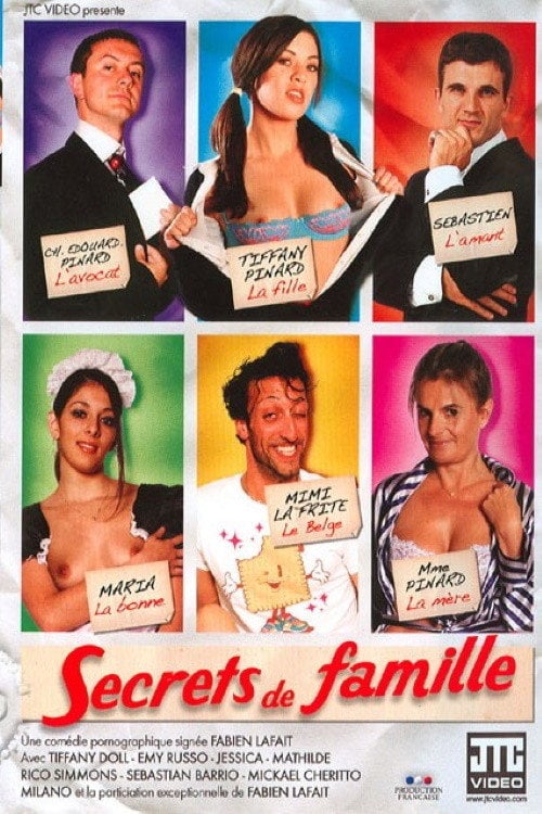 Movie poster for Secrets de famille (2010)