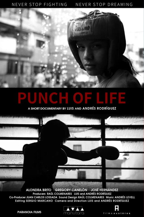 Movie poster for Punch of Life (2021)
