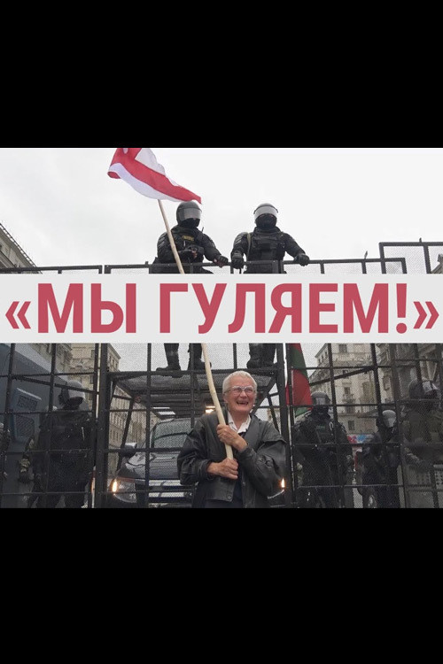 Movie poster for We Are Walking (2020)