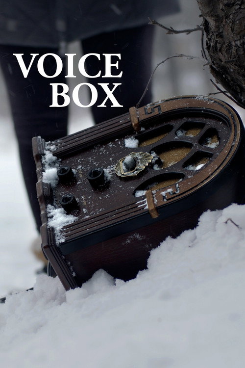 Movie poster for Voice Box (2021)