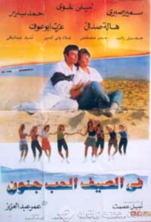 Movie poster for Love Is Crazy in the Summer (1995)