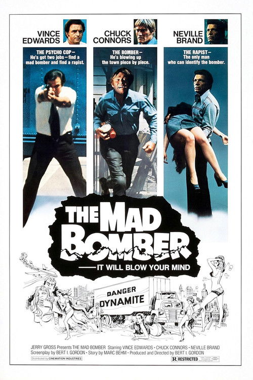 Movie poster for The Mad Bomber (1973)