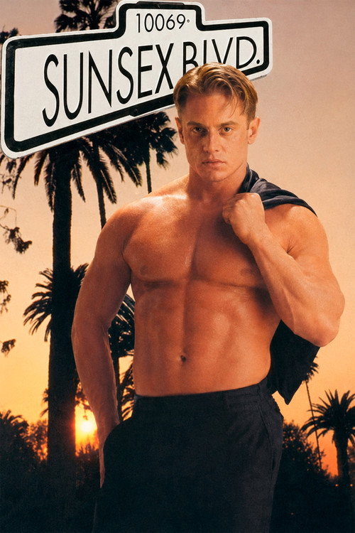 Movie poster for Sunsex Blvd. (1993)
