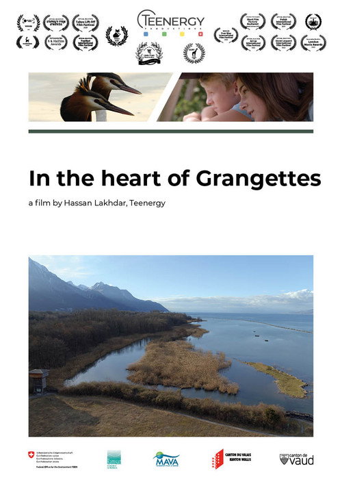 Movie poster for Au coeur des Grangettes