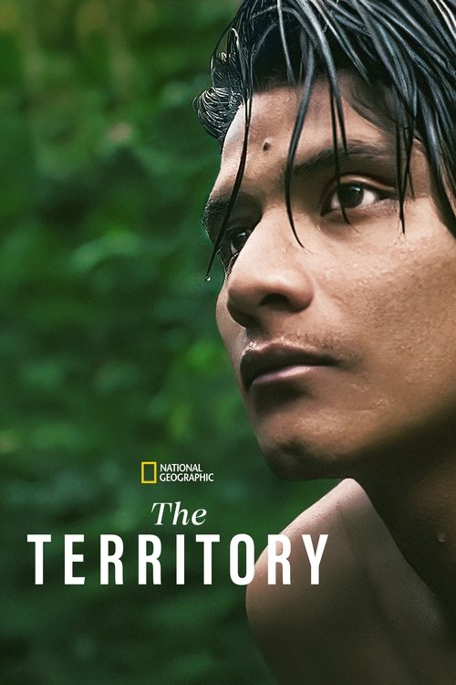 Movie poster for The Territory (2022)