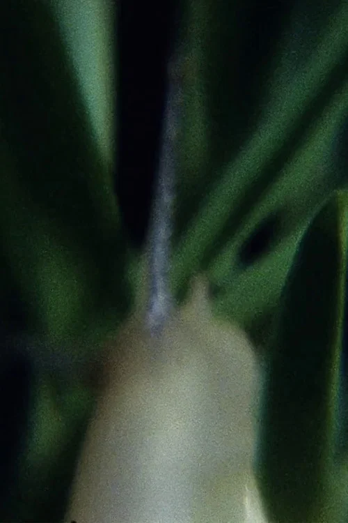 Movie poster for Película sudorosa I (2009)