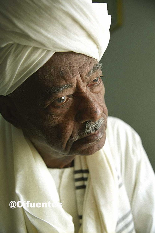 Photo of Gadalla Gubara, Directing