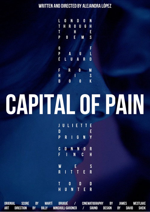 Movie poster for Capital of Pain