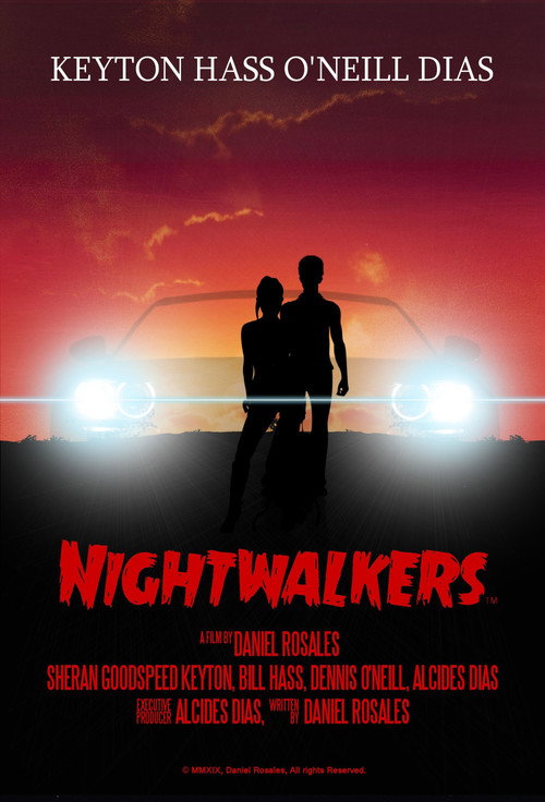 Movie poster for Nightwalkers