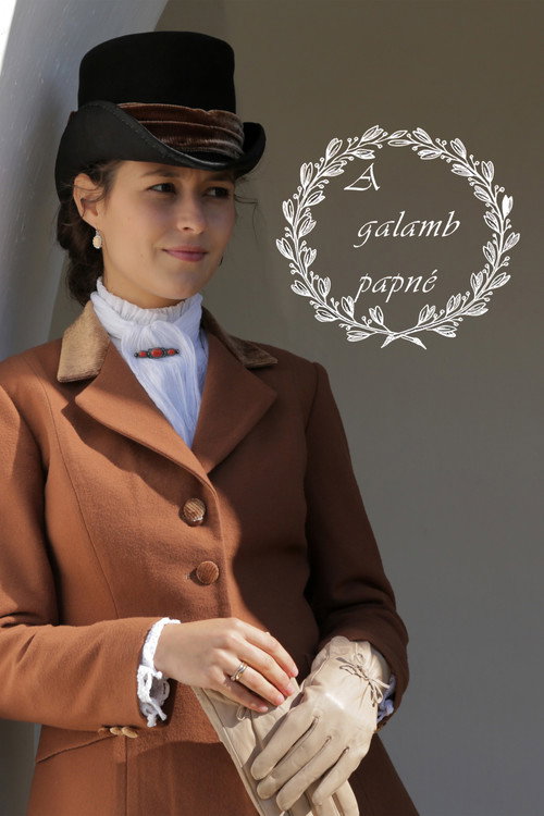 Movie poster for A galamb papné (2013)