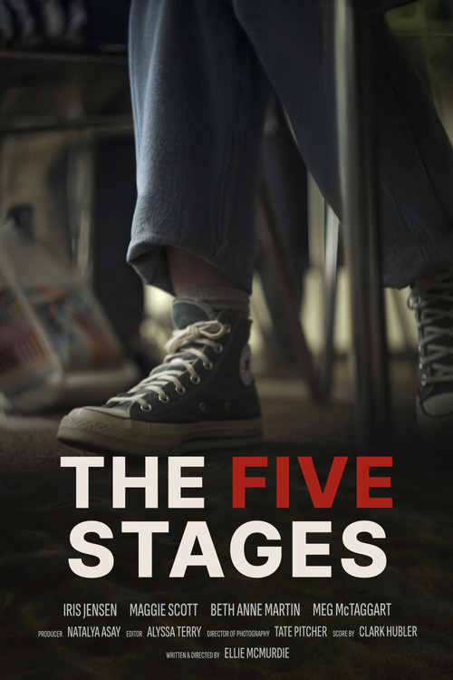 Movie poster for The Five Stages (2025)
