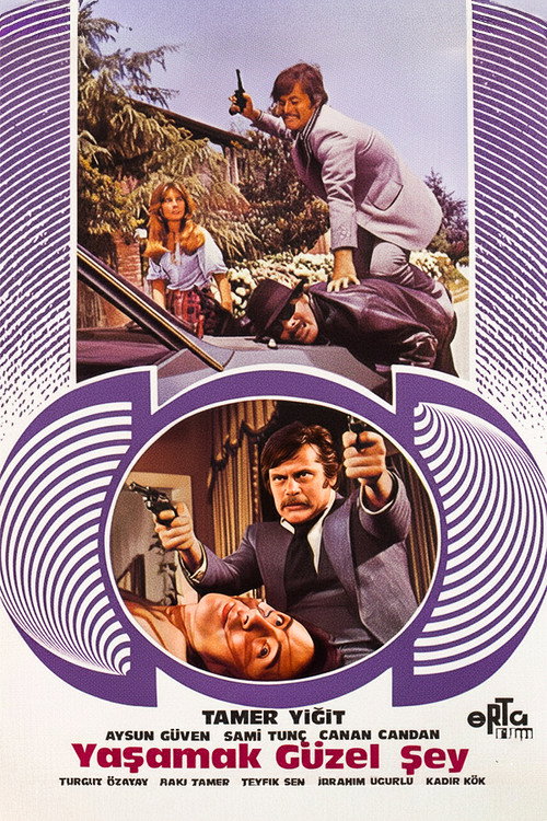 Movie poster for Yaşamak Güzel Şey (1977)