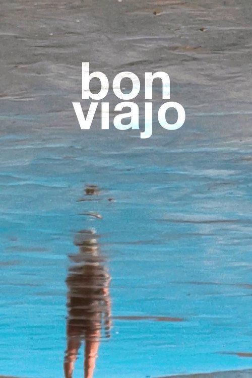 Movie poster for Bon viajo (2021)