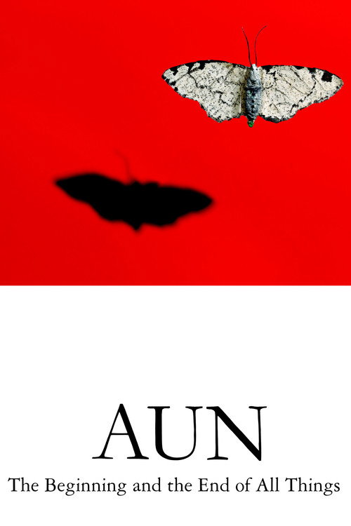 Movie poster for AUN: The Beginning and the End of All Things (2011)
