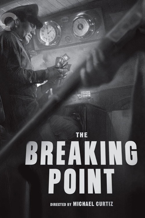 Movie poster for Fluid Style: Michael Curtiz and The Breaking Point (2017)