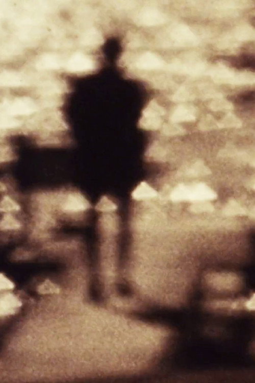 Movie poster for Elemental Vision or a film for the rest of my life (2025)