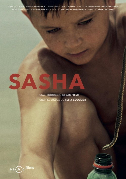 Movie poster for Sasha (2016)