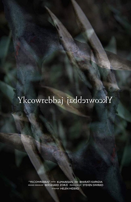 Movie poster for Ykcowrebbaj (2019)