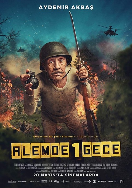 Movie poster for Alemde Bir Gece (2016)