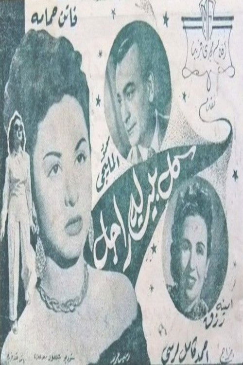 Movie poster for Every house has a man (1949)
