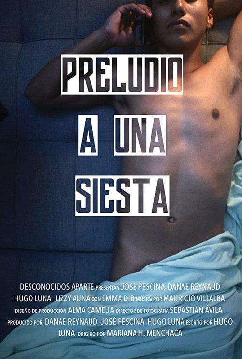 Movie poster for Preludio a una Siesta (2025)