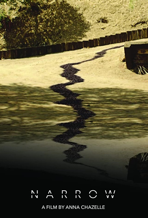 Movie poster for Narrow (2021)