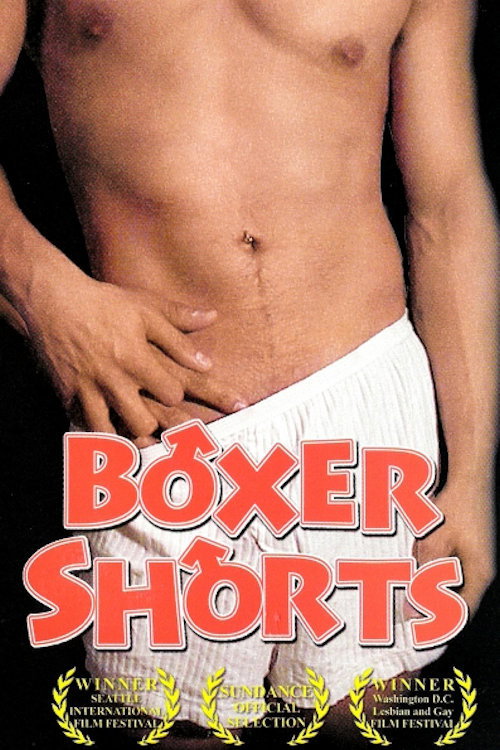 Movie poster for Boxer Shorts (2002)